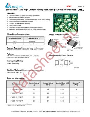 F1206HA15V024T datasheet  