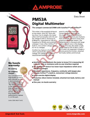 PM53A datasheet  