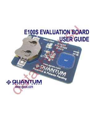 E100S datasheet  