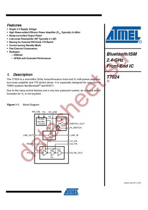 T7024-PGQM80 datasheet  