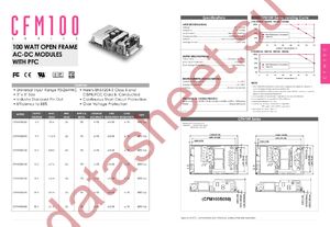 CFM100S050 datasheet  