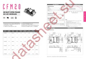 CFM2002S-P datasheet  