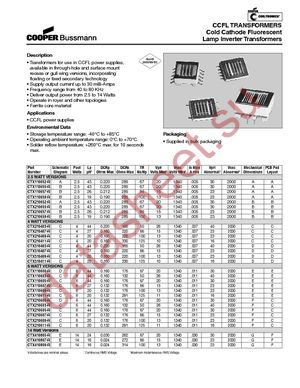CTX110600-R datasheet  