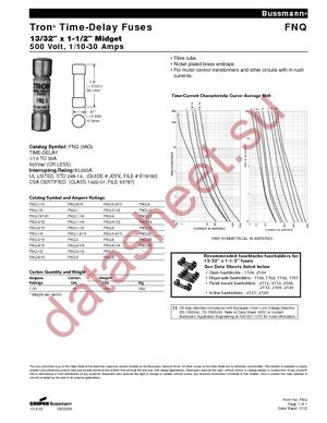 FNQ-10 datasheet  