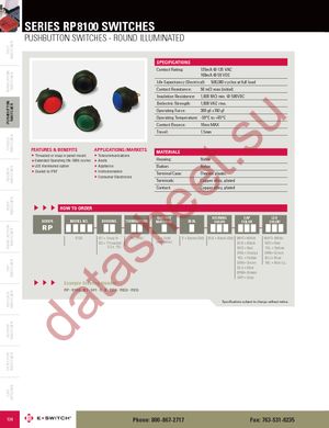 RP8100B2M1CEBLKBLKRED datasheet  