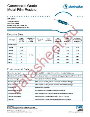 CMF1/41002FLFTR datasheet  