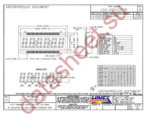 LCD-H601C71TR datasheet  