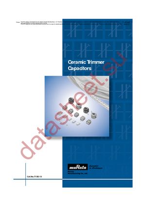 TZB4Z060AA10R01 datasheet  