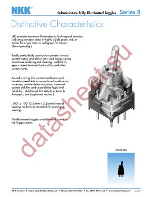 B12JJPC datasheet  