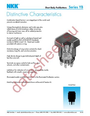 YB15CKG01-CB datasheet  