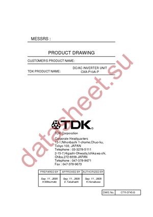 CXA-P10A-P datasheet  