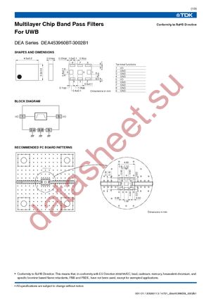 DEA453960BT-3002B1 datasheet  