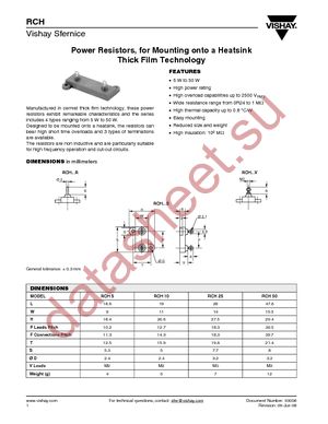 RCH05S10001FS06 datasheet  