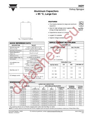 36DY101F450AN2A datasheet  